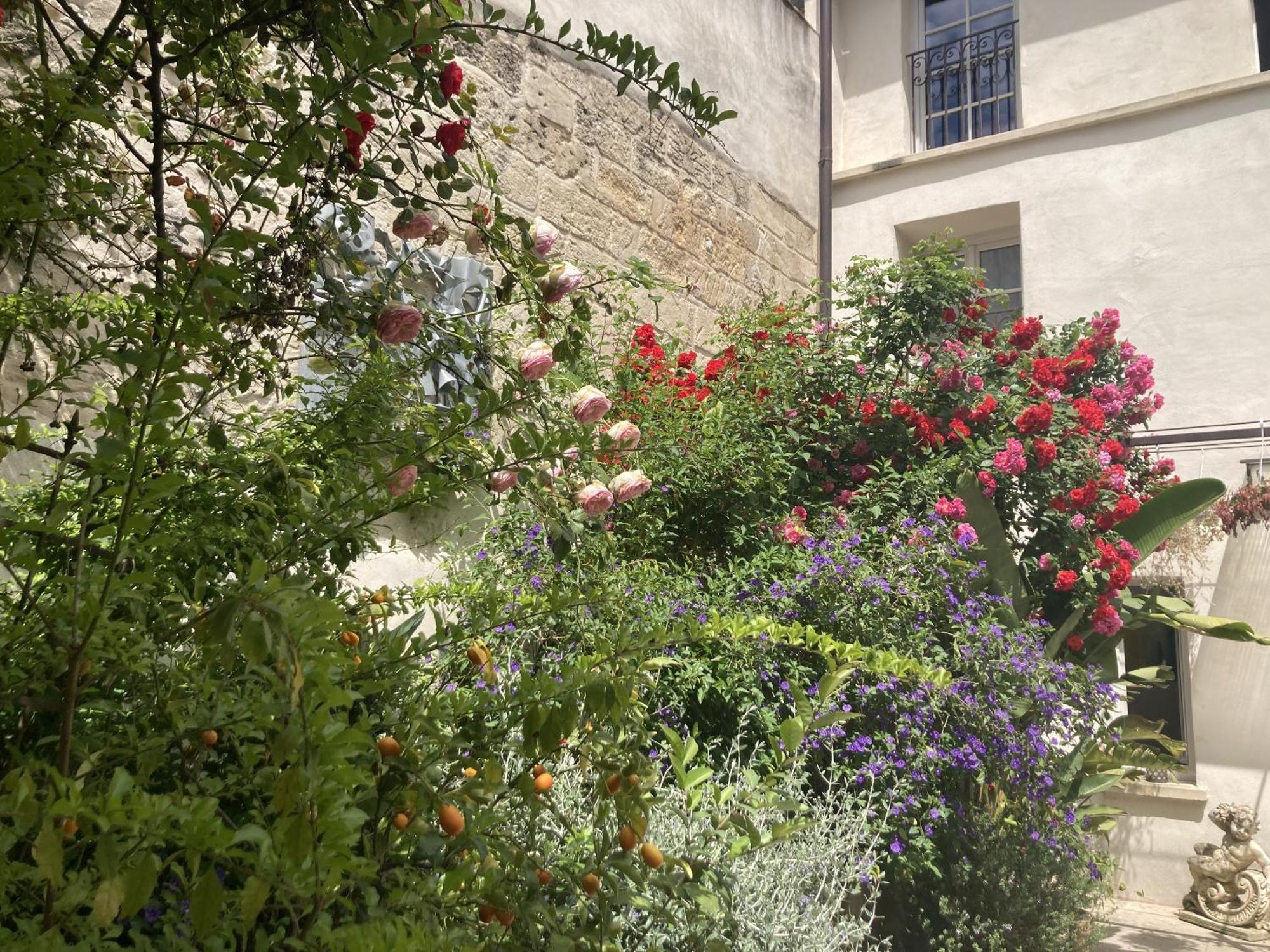 La Maison Des Augustins 4 Stars Spa Et Fitness Avinyon Oda fotoğraf