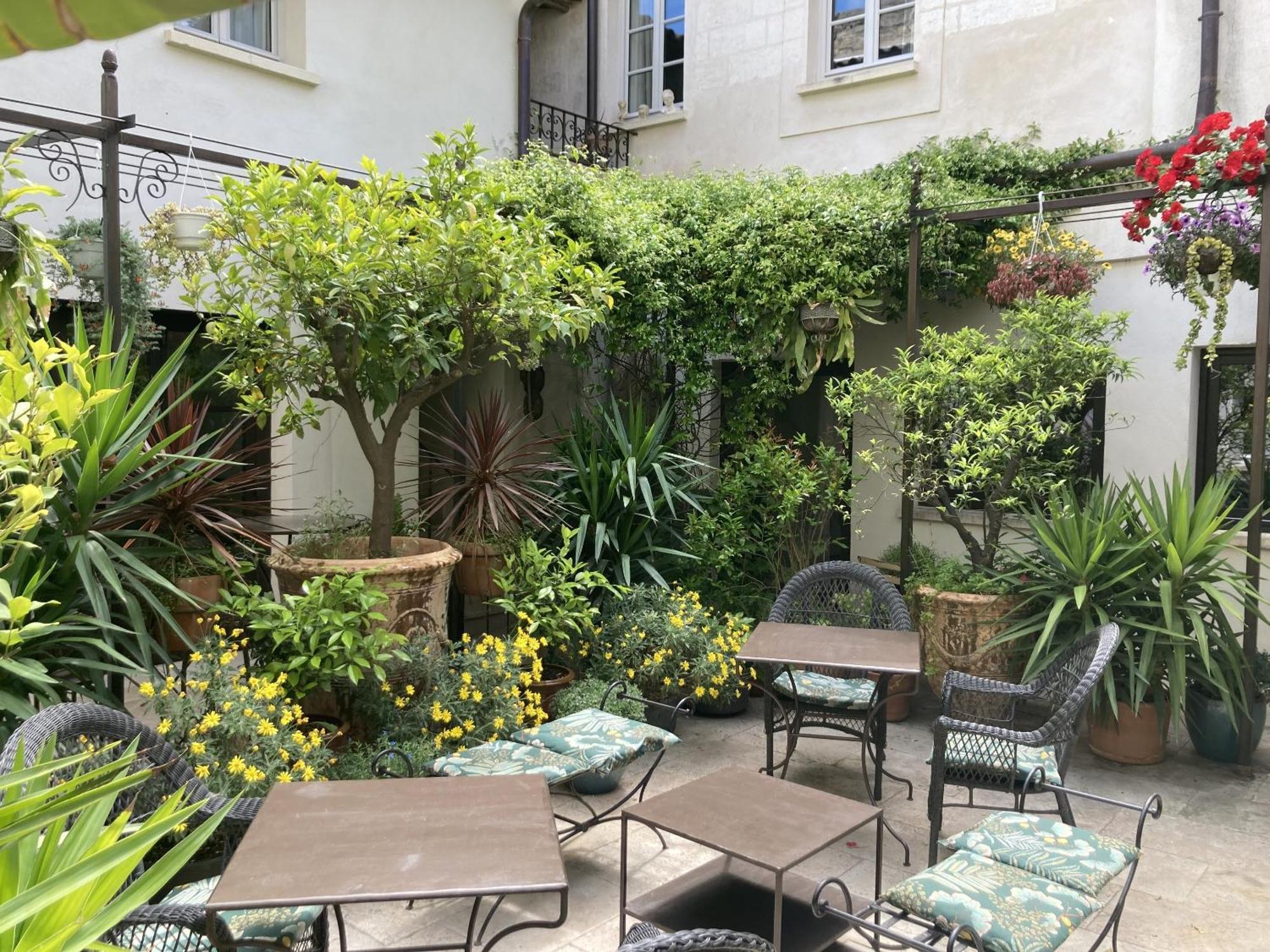La Maison Des Augustins 4 Stars Spa Et Fitness Avinyon Oda fotoğraf