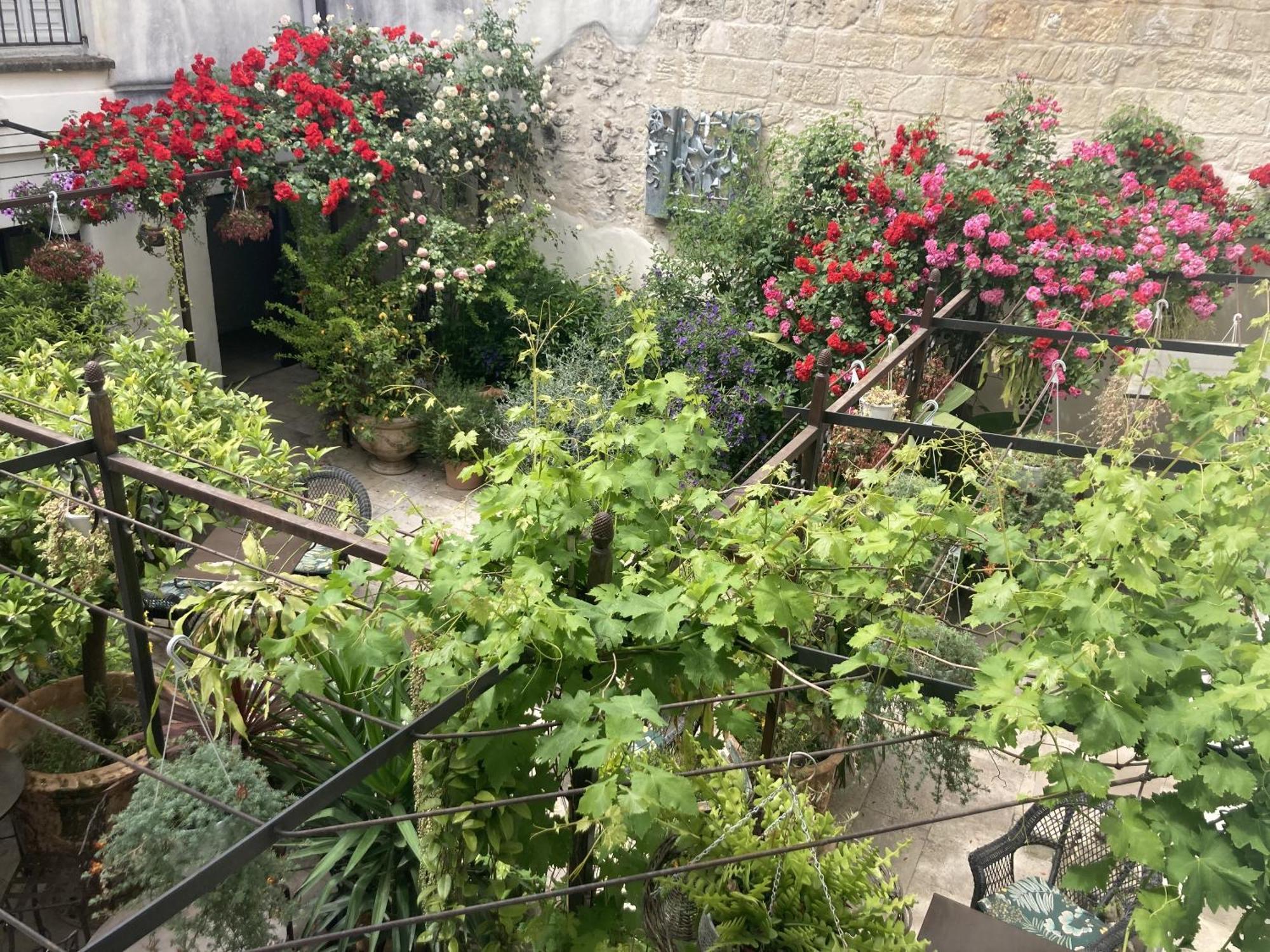 La Maison Des Augustins 4 Stars Spa Et Fitness Avinyon Oda fotoğraf